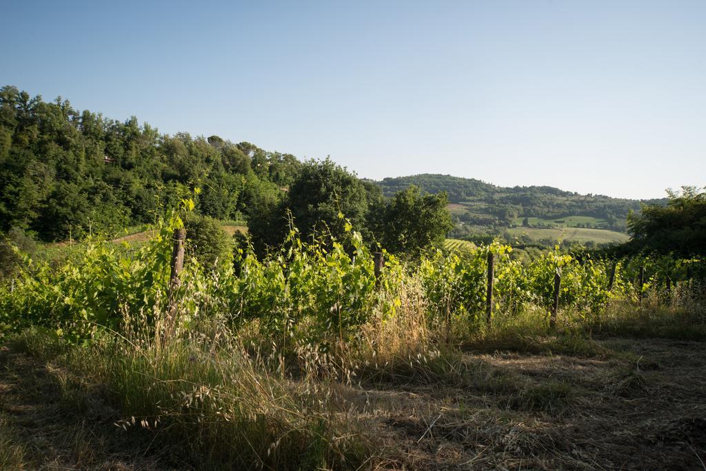 B&B Le Dimore Mezza Costa San Casciano in Val di Pesa Exterior photo
